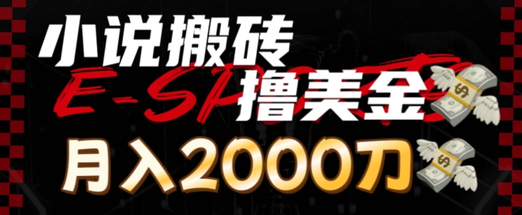 [第3225讲]小说搬砖撸美刀，月入2000刀