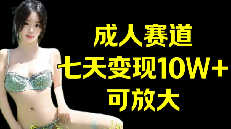 [第3270讲]成人赛道七天变现10W+，可放大