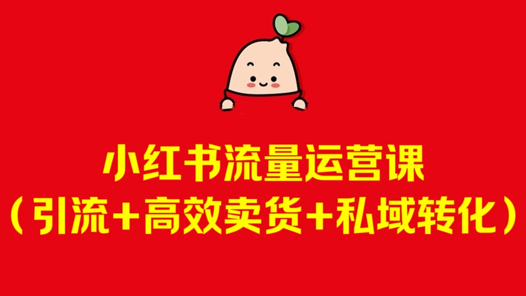[第3283讲]小红书流量运营课（引流+高效卖货+私域转化）