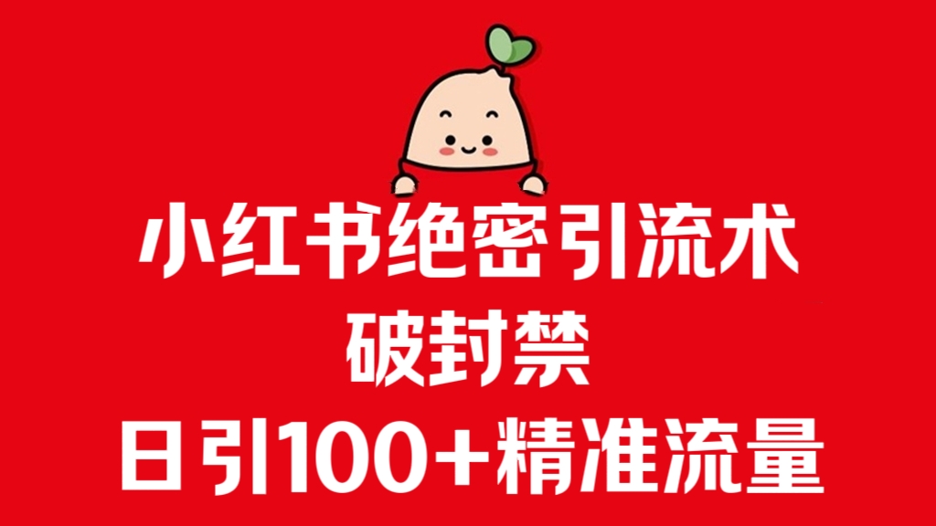 [第3293讲]小红书绝密引流术升级玩法，破封禁，日引100+精准流量