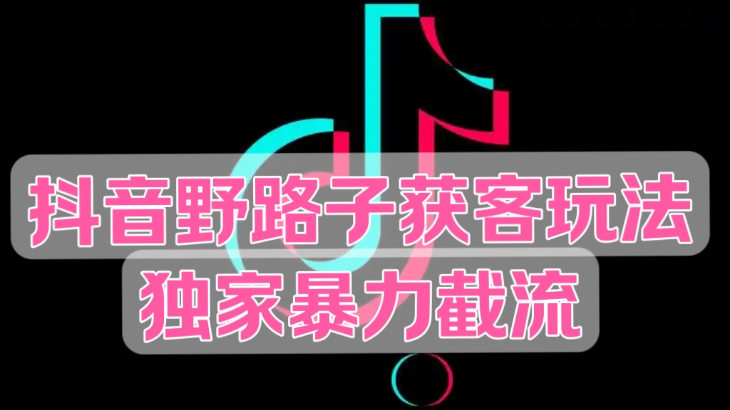 [第3387讲]【独家暴力引流】抖音野路子获客玩法