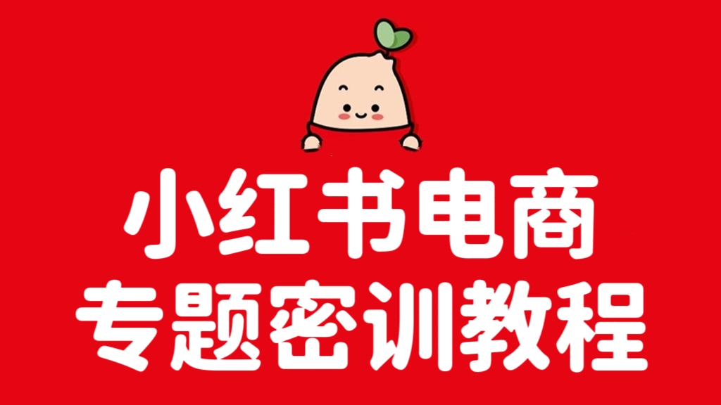 [第3404讲]小红书电商专题密训教程