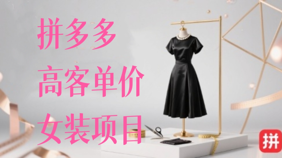 【第3464讲】拼多多高客单价女装项目