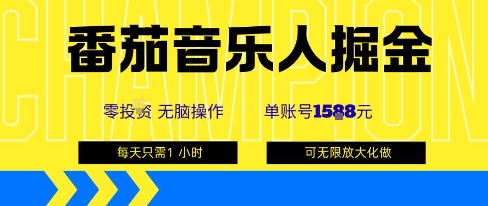 【第3496讲】番茄音乐人赚钱，单账号最高1k+，可矩阵