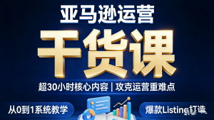 【第3556讲】(超30小时干货)亚马逊运营重难点干货课